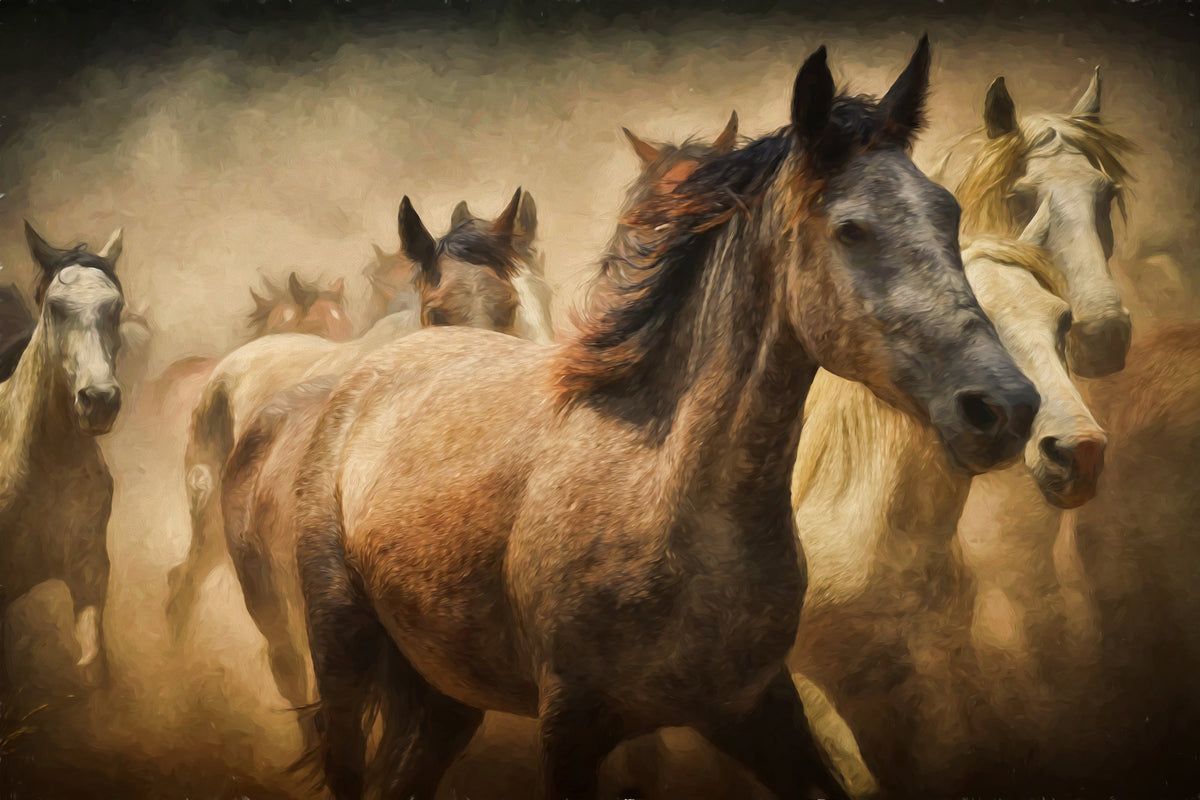 poster-print-painting-wild-horses
