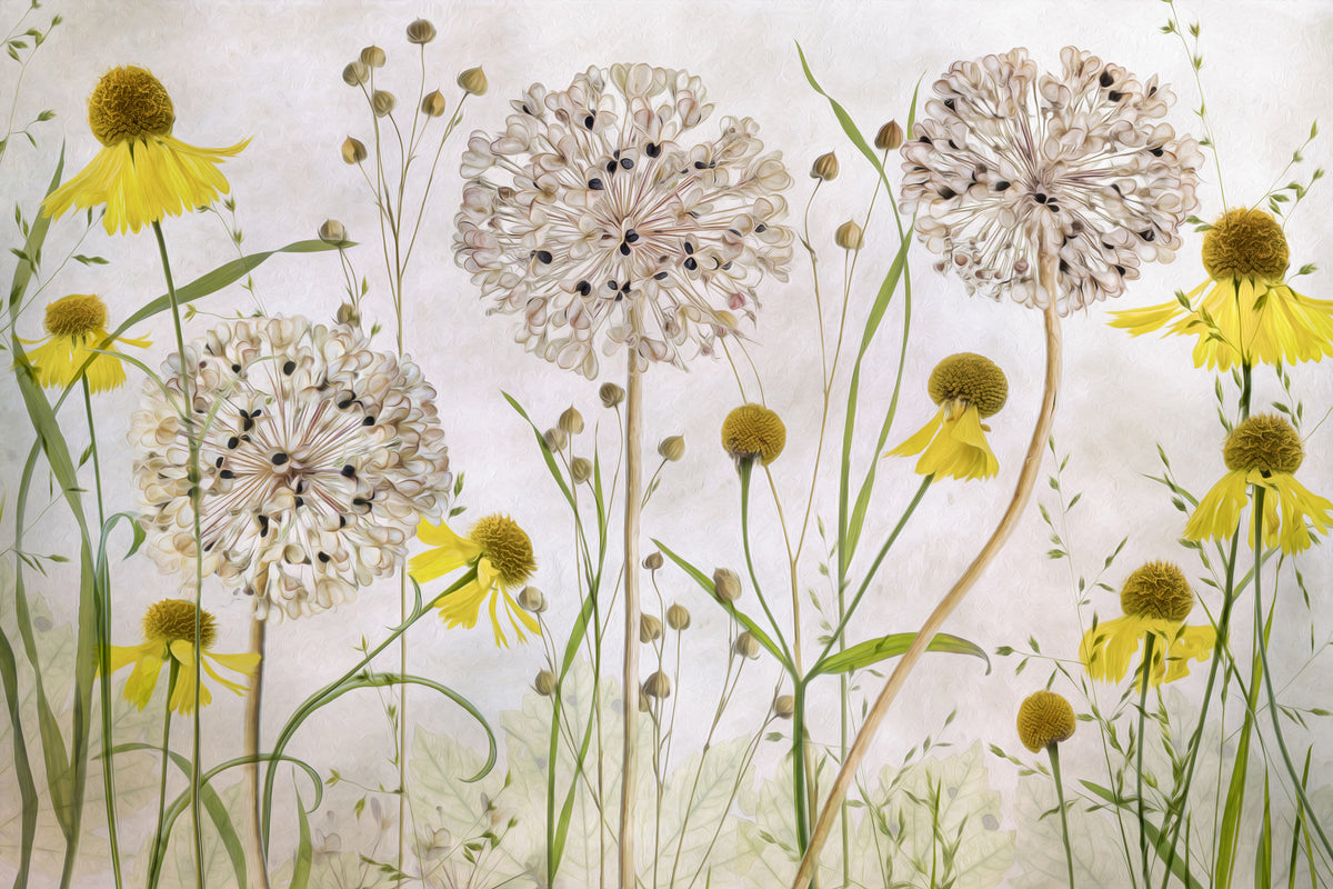 framedposter-print-alliums-and-heleniums