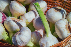 modern-3-piece-aluminium-print-fresh-garlic