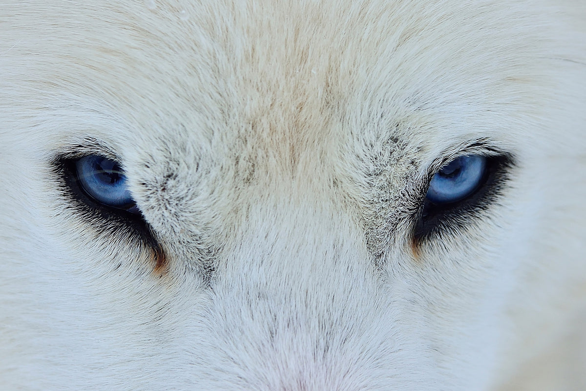 acrylic-print-mirada-azul-x
