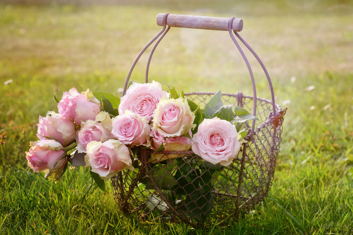 3-piece-canvas-print-a-basket-full-of-roses