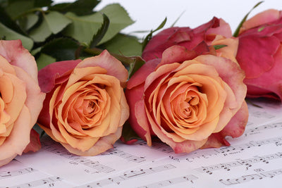 poster-print-notes-of-love