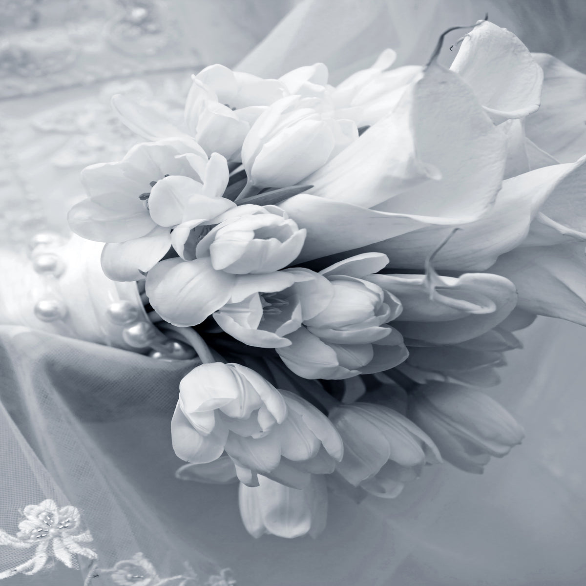 poster-print-romantic-tulips-bouquet