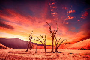 aluminium-print-colorful-desert