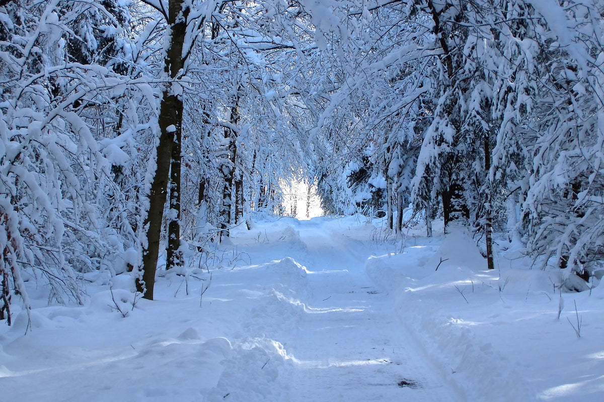 3-piece-acrylic-print-finally-winter