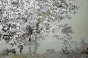 canvas-print-spring-xep