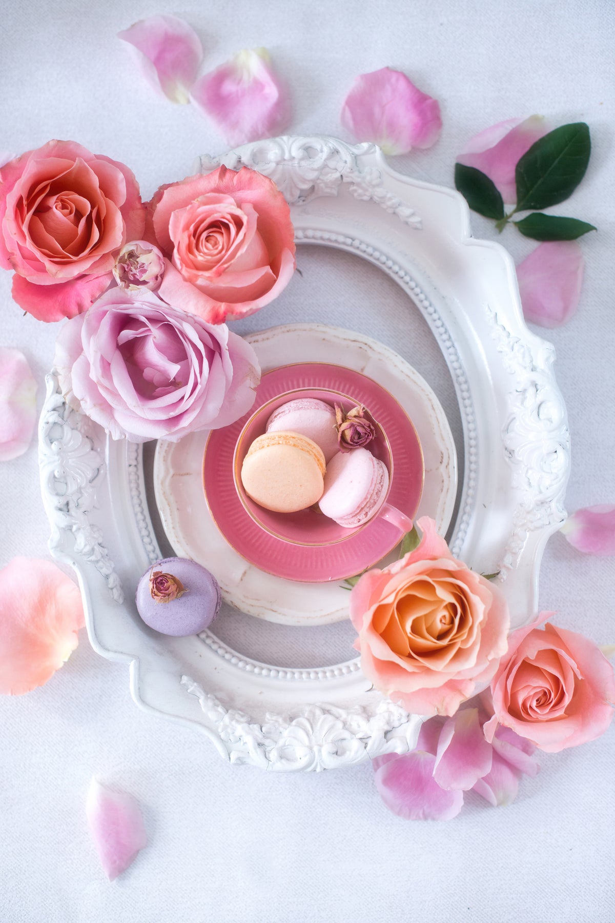 framedcanvas-print-pink-romance