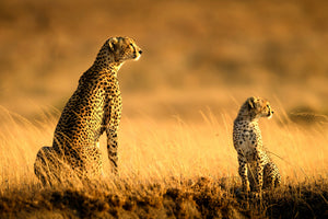 poster-print-mum-and-son-x