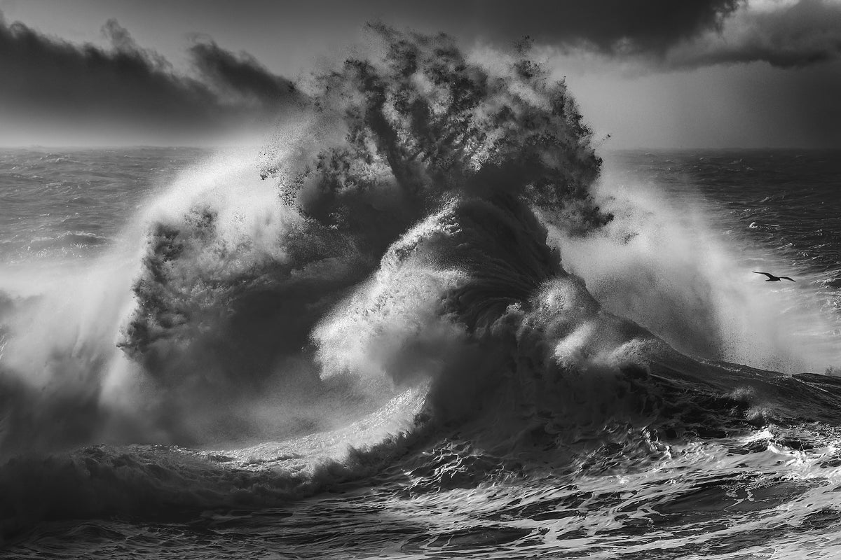 framedcanvas-print-poseidon-majesty-part-4-x