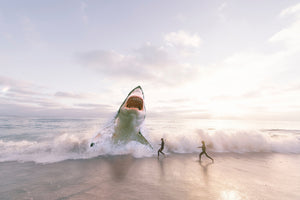 3-piece-acrylic-print-beware-shark
