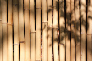 poster-print-natural-bamboo