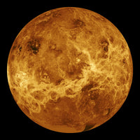 4-piece-canvas-print-the-venus