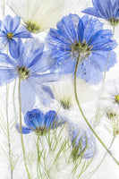 acrylic-print-cosmos-blue