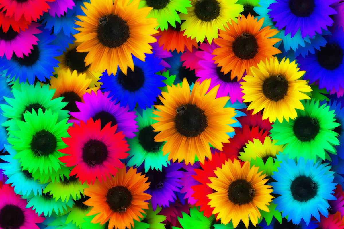 3-piece-aluminium-print-colorful-sunflowers