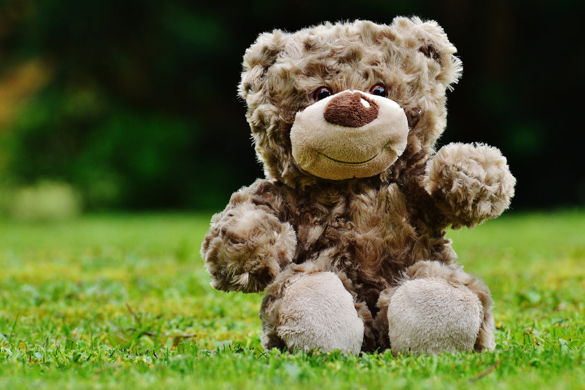 3-piece-aluminium-print-happy-teddy-bear