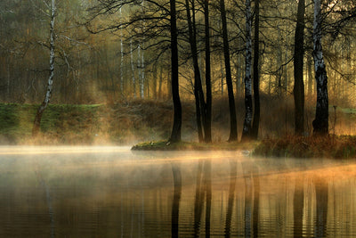 poster-print-silent-light-x