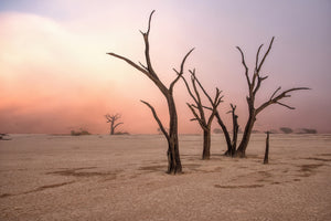 canvas-print-fog-in-deadvlei