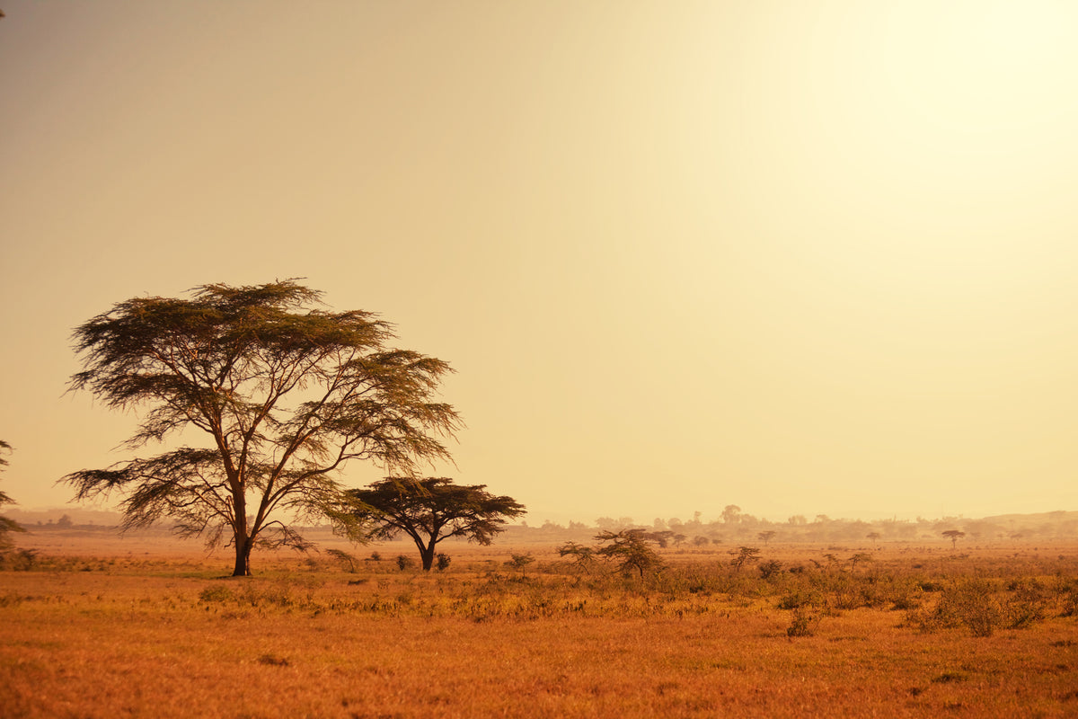 framedposter-print-pastures-in-kenya