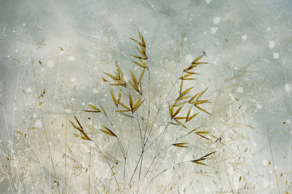 framedposter-print-wintertime-x