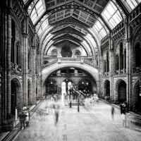 poster-print-natural-history-museum-of-london-x