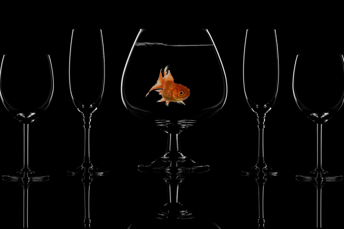 poster-print-glass-fish