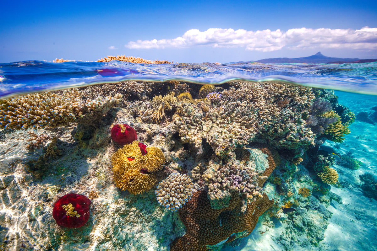 modern-3-piece-acrylic-print-mayotte-the-reef