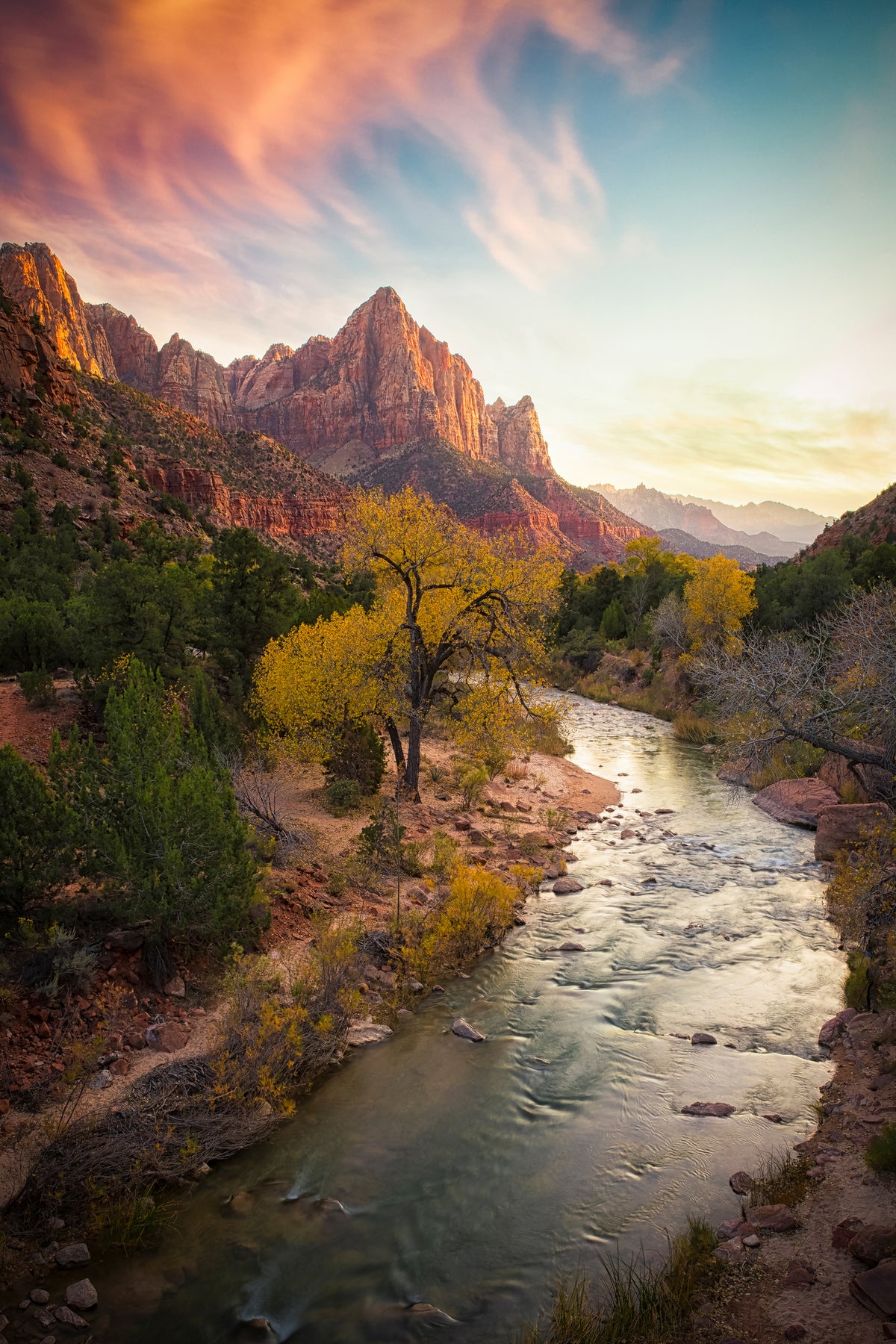 framedcanvas-print-zion-national-park-x