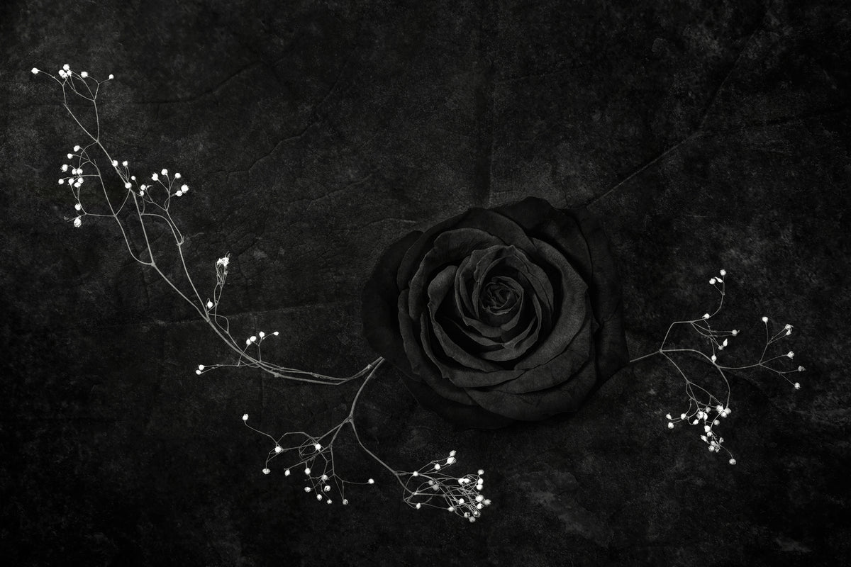 modern-3-piece-aluminium-print-rose-noire