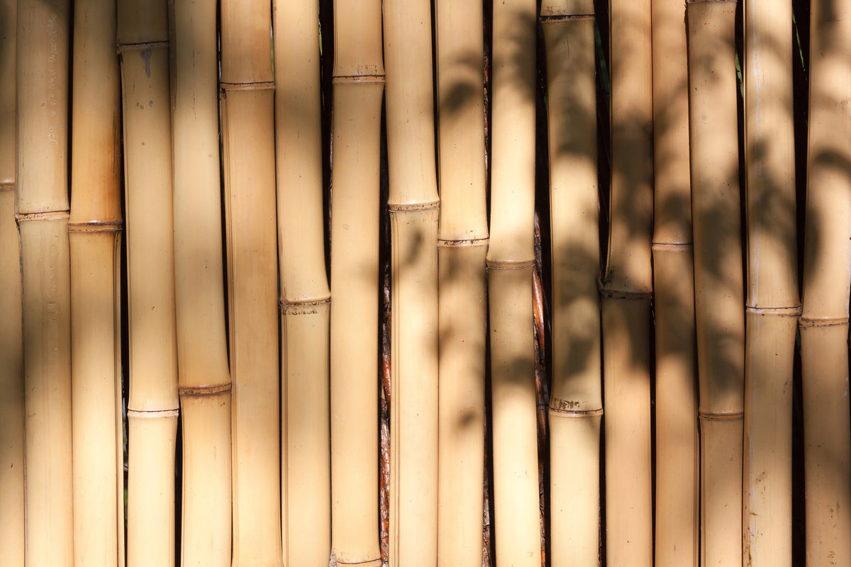 aluminium-print-natural-bamboo