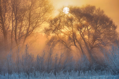 poster-print-warm-and-cold-x