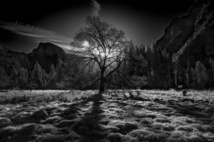 3-piece-acrylic-print-the-winter-spirit