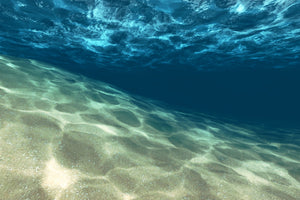 acrylic-print-under-the-water