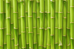 acrylic-print-bamboo-wall