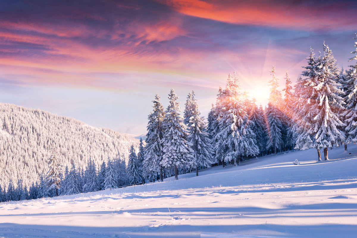 framedcanvas-print-winter-landscape