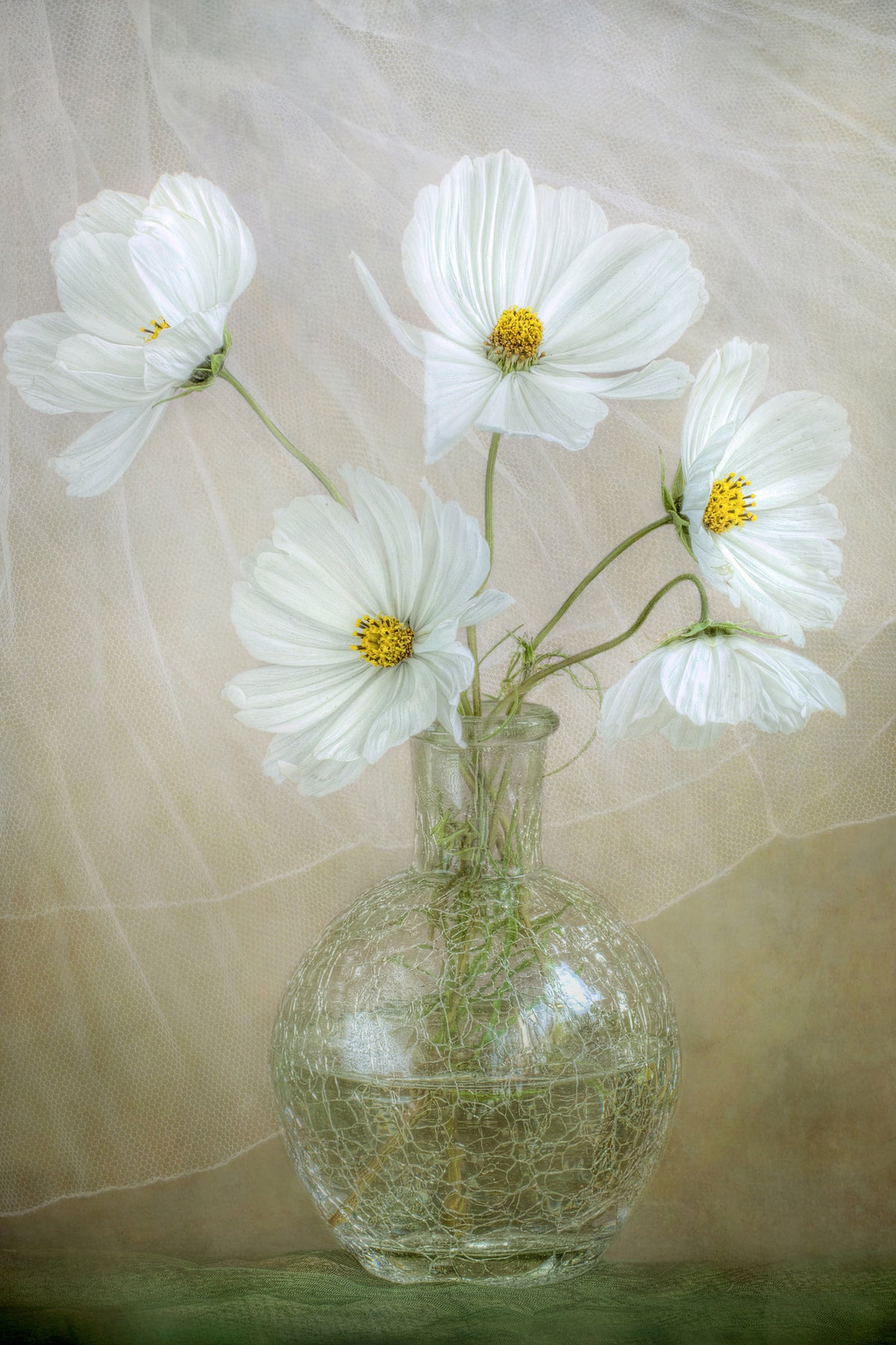 framedposter-print-cosmos-breeze