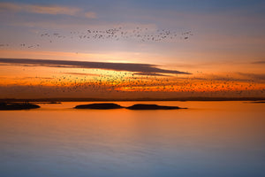 poster-print-by-sunset