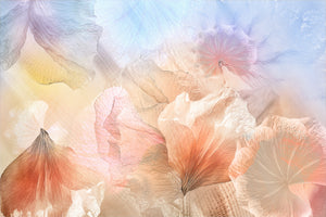 canvas-print-ethereal-flowers-x