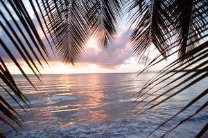 acrylic-print-under-palm-leaves