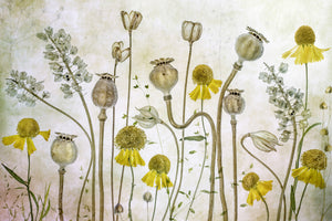 canvas-print-poppies-and-helenium-x