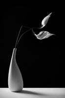 framedcanvas-print-passionately-x