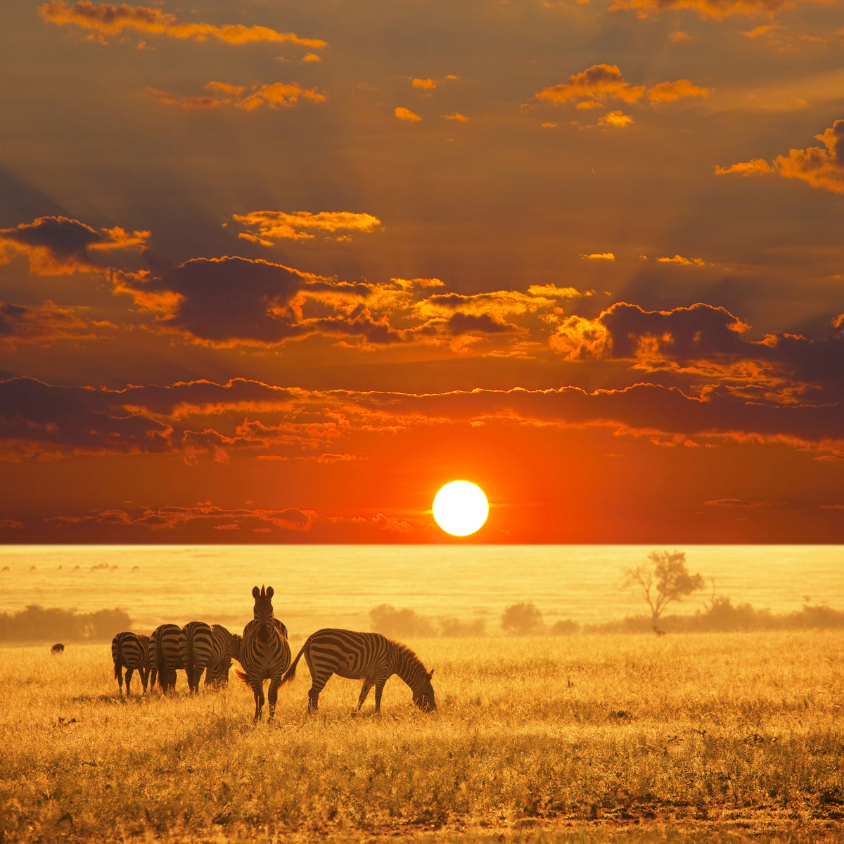 poster-print-seregenti-national-park