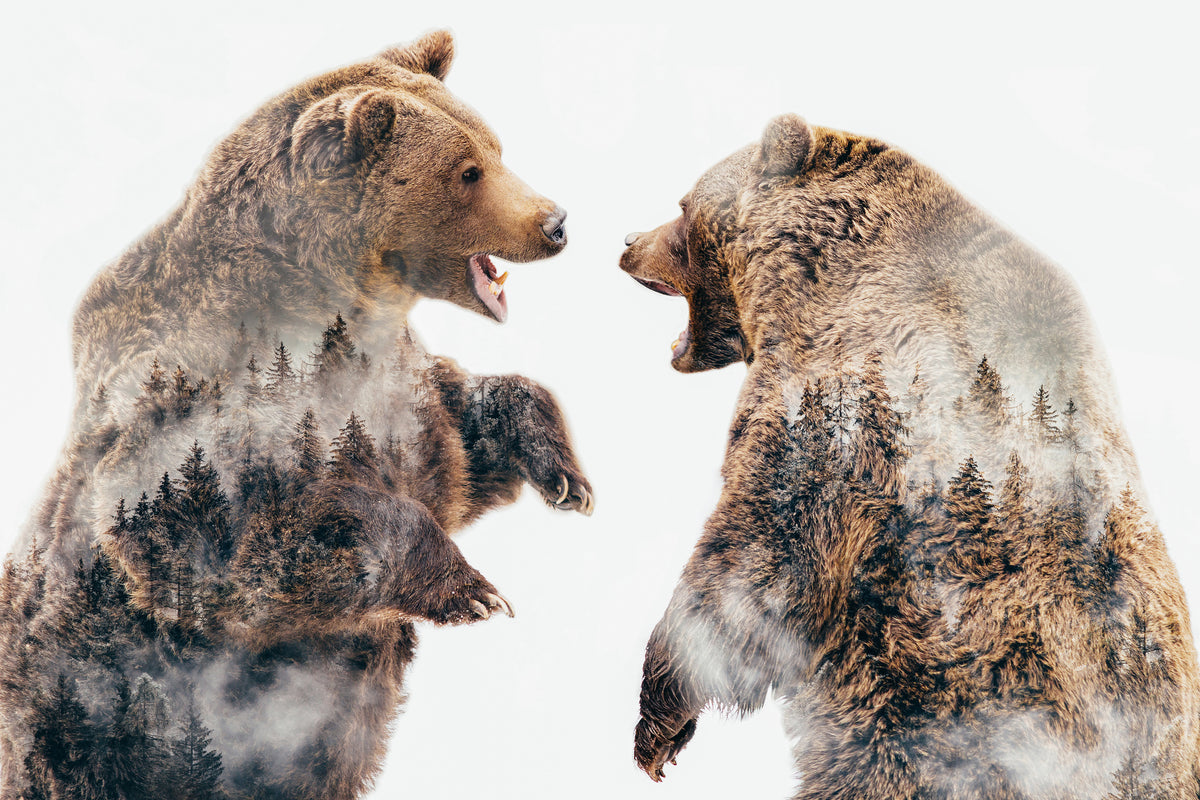 aluminium-print-wild-conflicts-x
