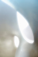 canvas-print-organic-shapes