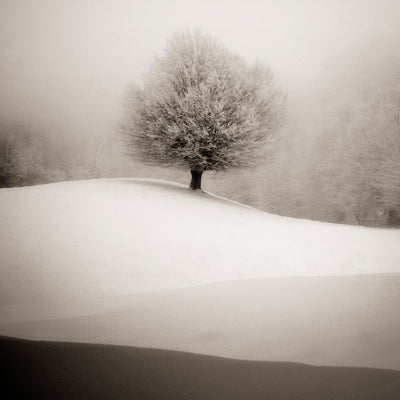 poster-print-winter-degradee