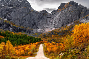 framedposter-print-road-to-the-wall-x