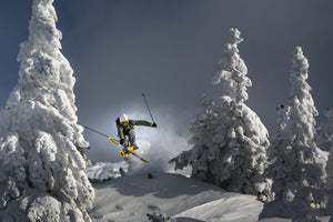 canvas-print-ski-is-life-x