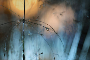 3-piece-acrylic-print-almost-dark