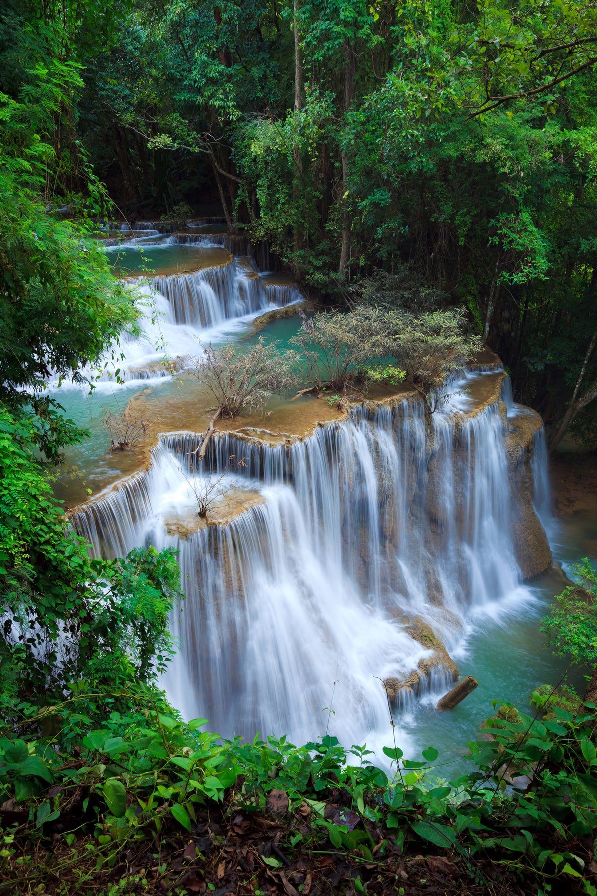 aluminium-print-deep-forest-waterfall