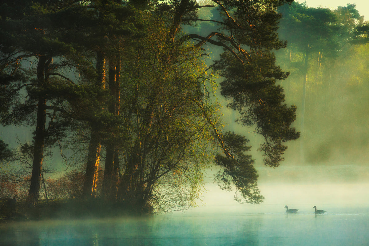 canvas-print-dutch-fen-x