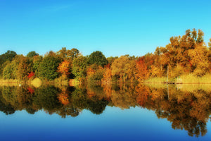 framedcanvas-print-autumn-reflections